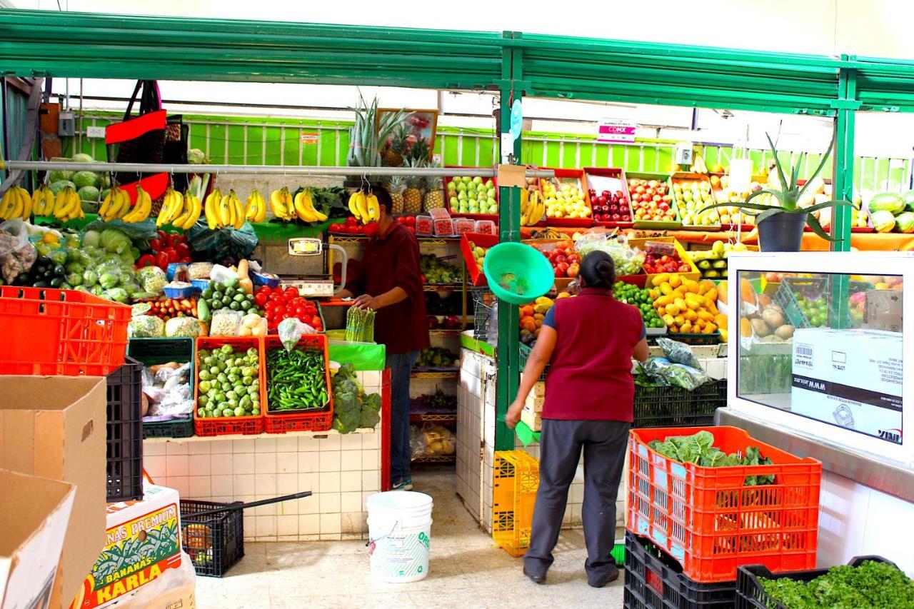 Nomadier Experience Mexico City Condesa المظهر الخارجي الصورة